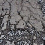 The Benefits Of A Concrete Driveway